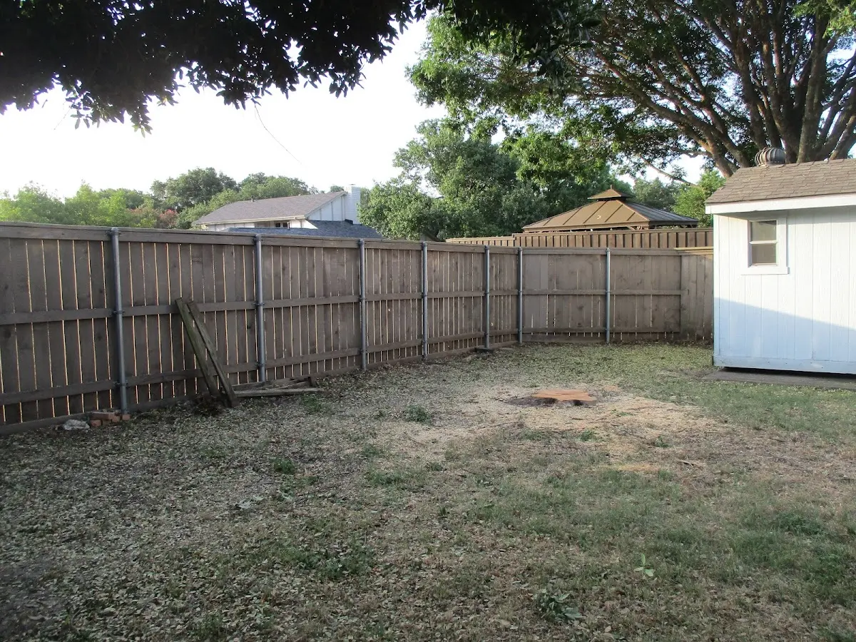 Cleared yard after professional tree removal in Grays Knob