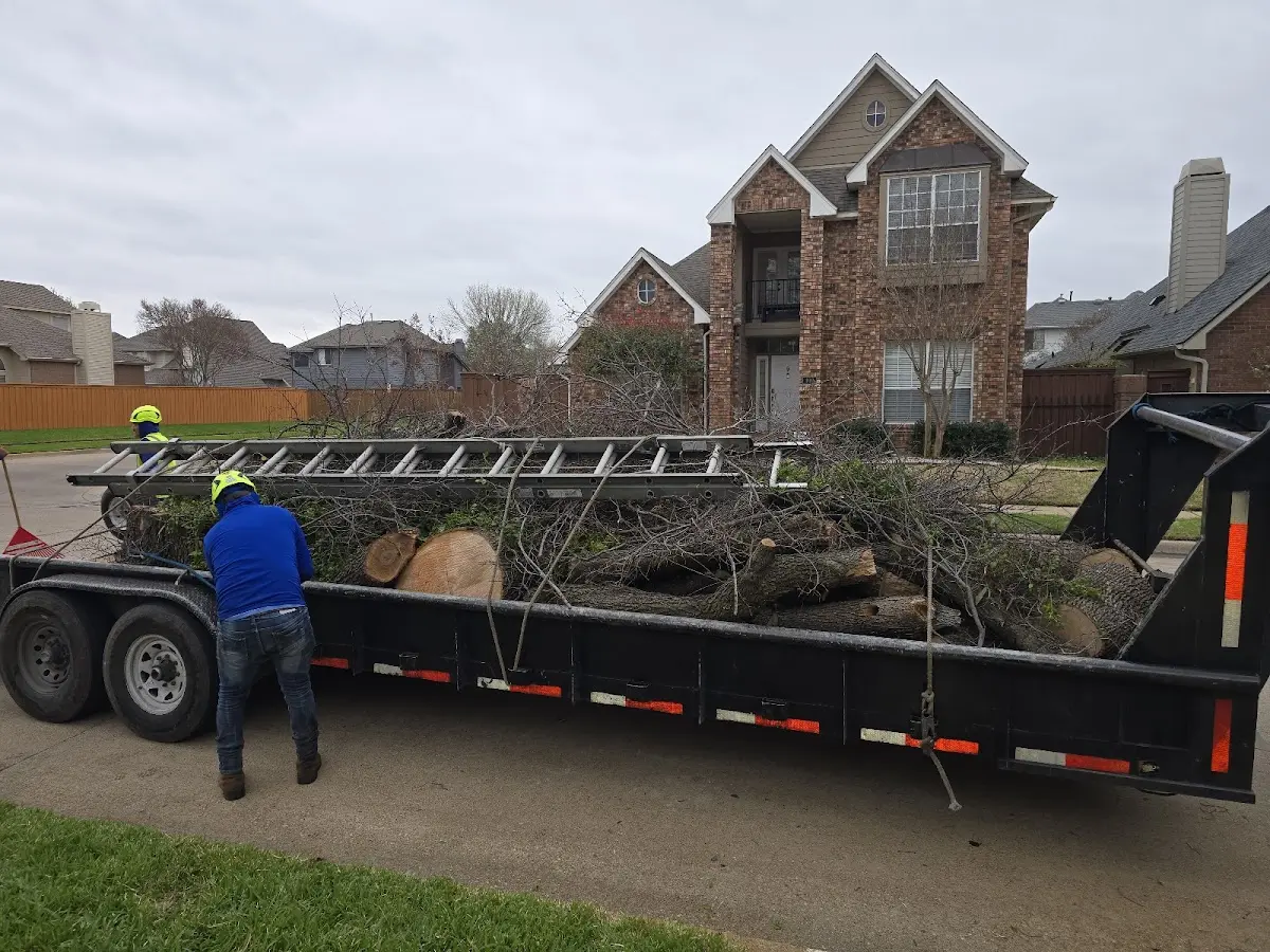 Expert Tree Pest Control with proper safety equipment in Grays Knob
